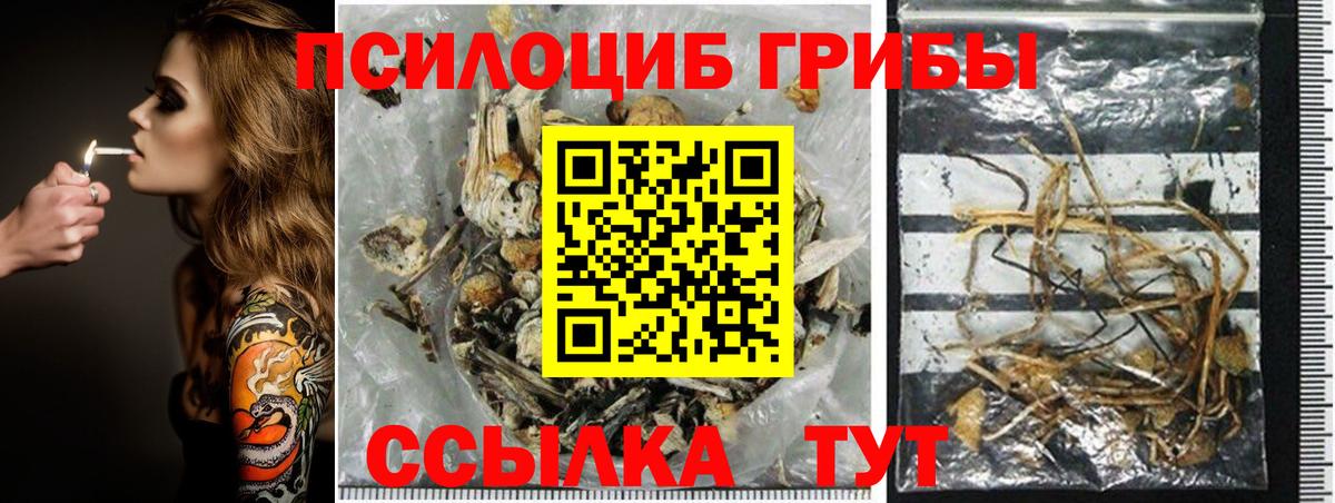 Псилоцибиновые грибы Magic Shrooms  Вход с VPN  Костомукша 